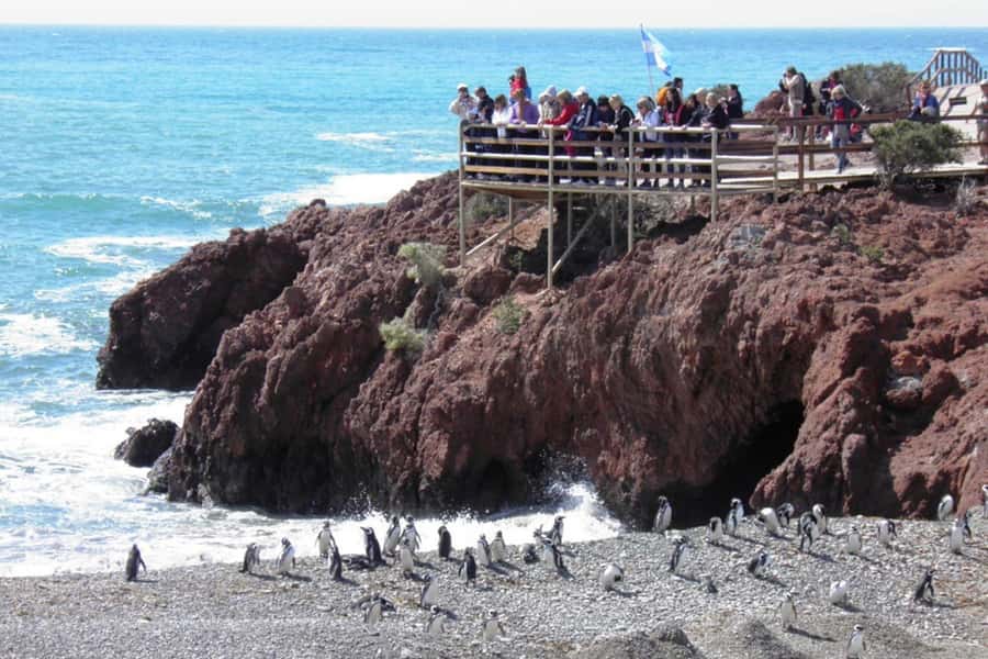 From Puerto Madryn: Full Day Excursion to Punta Tombo - The Interpretation Center and what it adds
