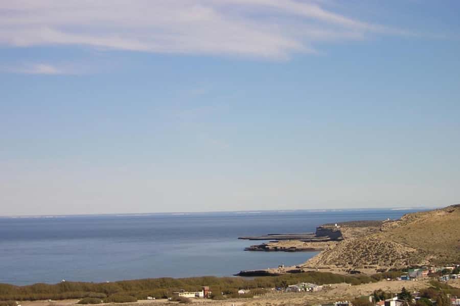 From Puerto Madryn: Full Day Excursion to Punta Tombo - The early departure and two-hour ride