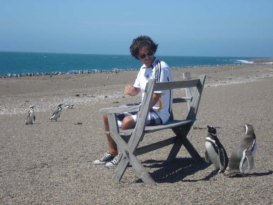 From Puerto Madryn: Penguin Tour & Península Valdés Day Trip - Key points to know before booking