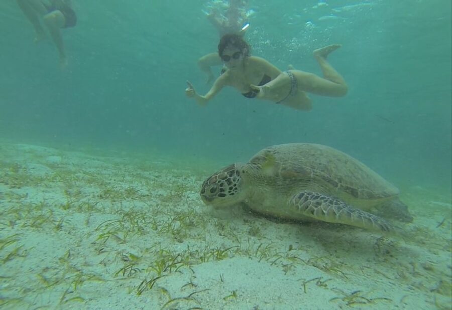 From Puerto Princesa: Port Barton & Island Hopping Day Trip - Twin Reef and the value of another snorkel stop
