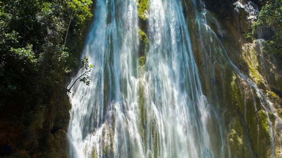 From Punta Cana: Samana Full Day Trip by Bus and Boat - The best parts of the day at a glance