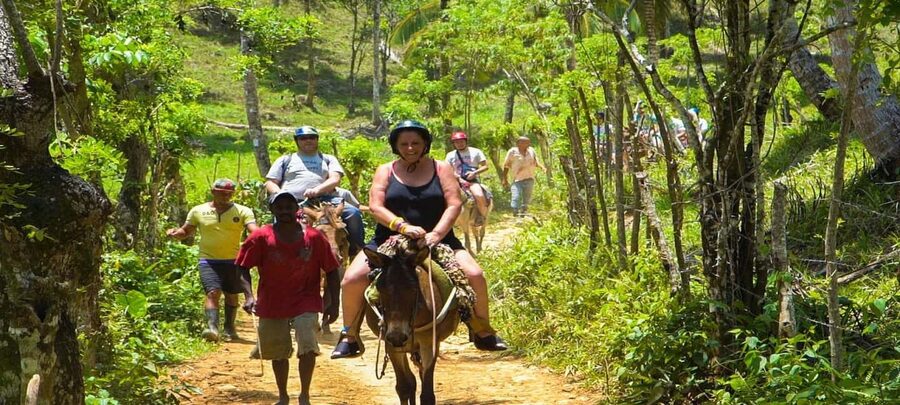 From Punta Cana: Samana Full Day Trip by Bus and Boat - Who should book this Samaná day trip?