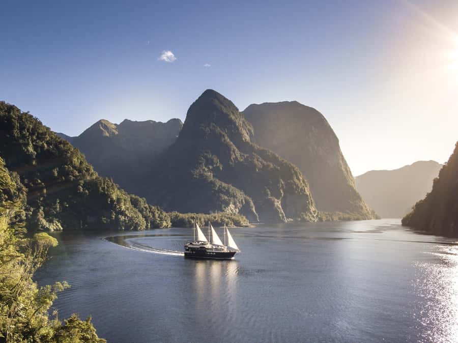 From Queenstown: Doubtful Sound Wilderness Day Trip - Why Doubtful Sound deserves the long day