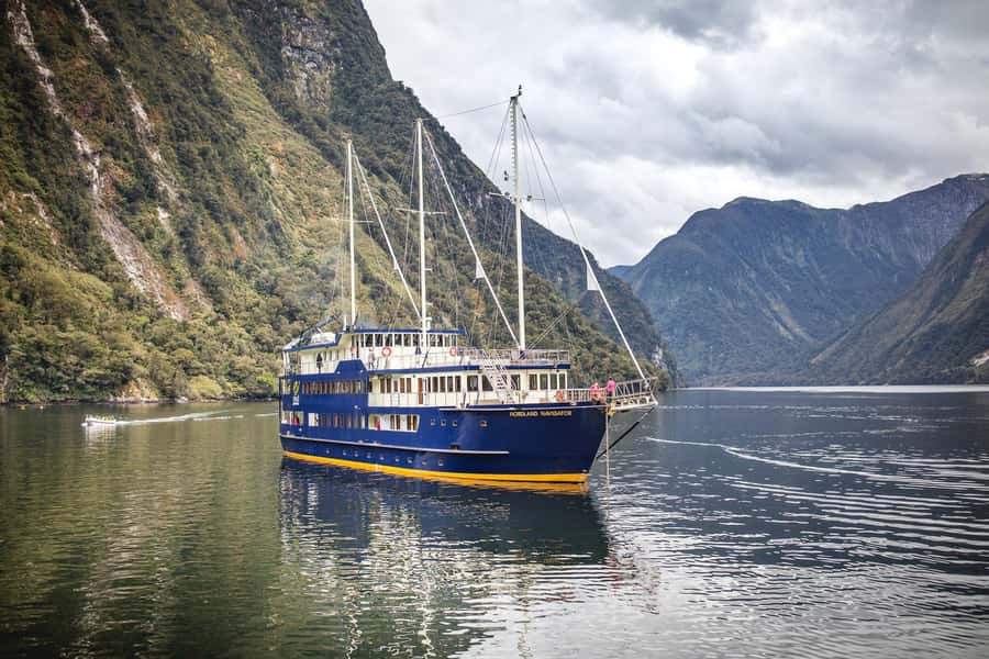From Queenstown: Doubtful Sound Wilderness Day Trip - Wildlife sightings, with realistic expectations