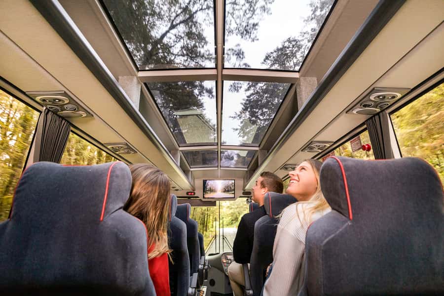 From Queenstown: Milford Sound Day Trip on Premium Coach - Key points at a glance