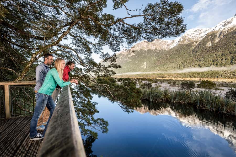 From Queenstown: Milford Sound Day Trip on Premium Coach - Why the long road from Queenstown is worth considering