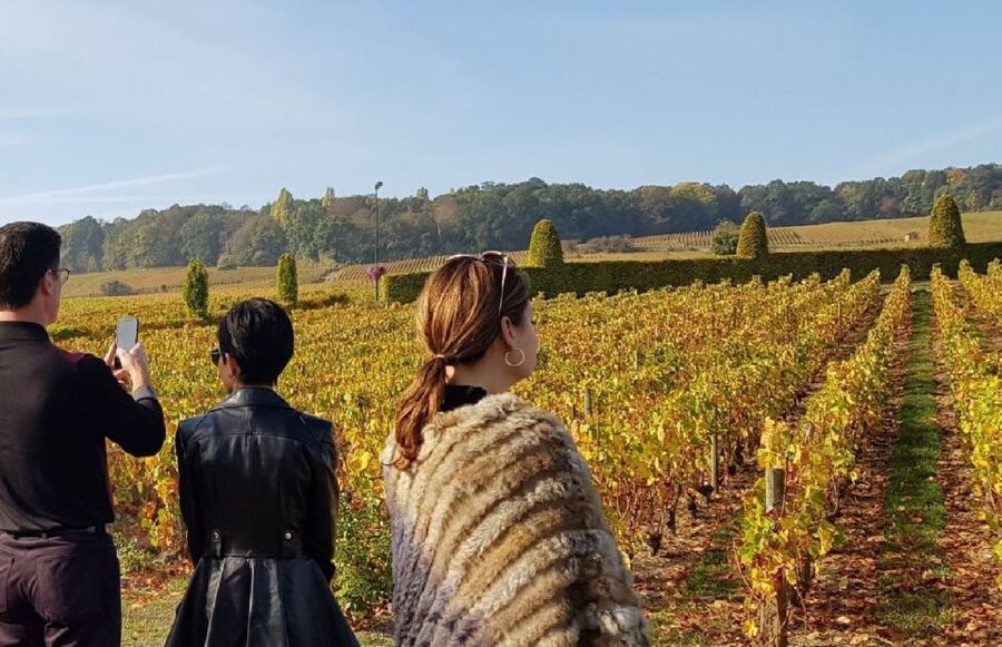 From Reims: Champagne Day Trip to 3 Family Domains & Lunch - Lunch in Épernay, with one small caveat