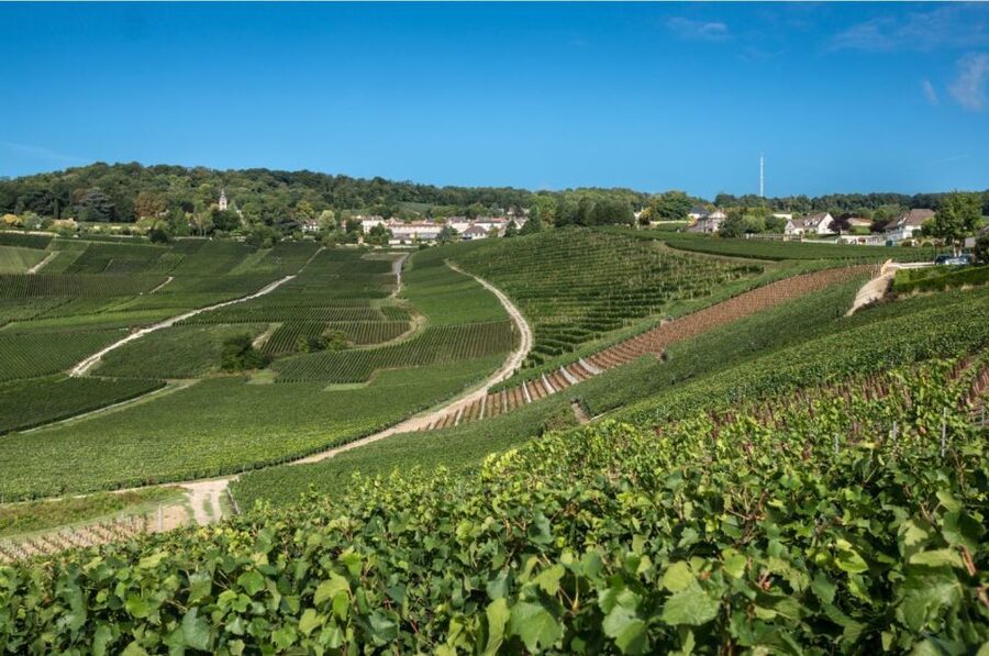 From Reims: Champagne Day Trip to 3 Family Domains & Lunch - Planning the train from Paris