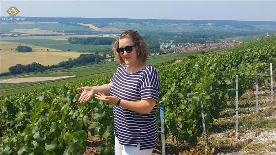 From Reims: Champagne Day Trip to 3 Family Domains & Lunch - Leaving Reims through the Champagne countryside