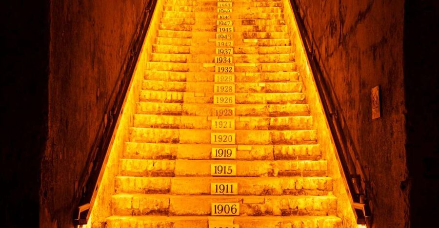 From Reims: Day Trip to Veuve Clicquot Family Grower & Lunch - Starting at Reims station at 9:20 AM