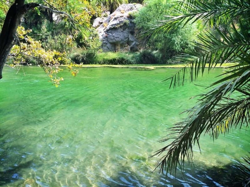 From Rethymno/Chania: Day Trip to Preveli Palm Beach - Food, drinks, and the real cost of the day