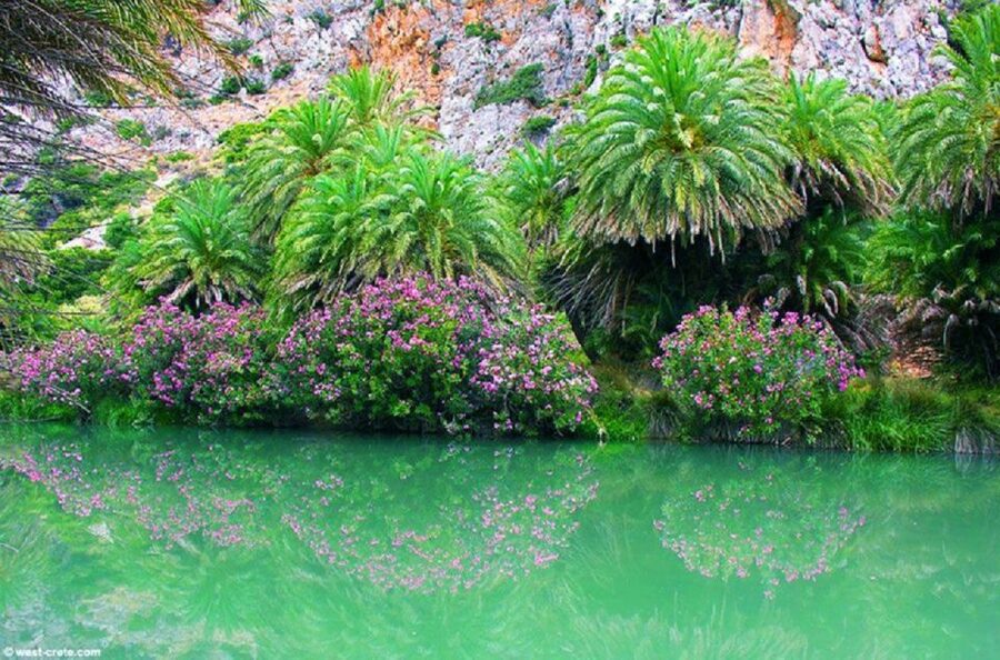 From Rethymno: Preveli Palm Beach and Kourtaliotiko Day Trip - Is the $25 Price Good Value?