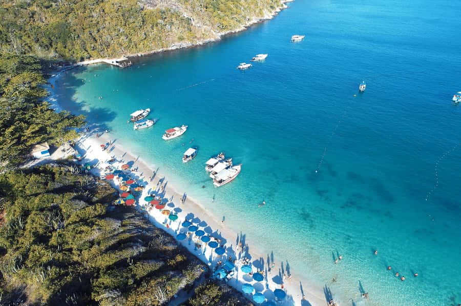 From Rio: Arraial do Cabo Day Trip with Boat Tour - Who Will Enjoy This Day Trip?
