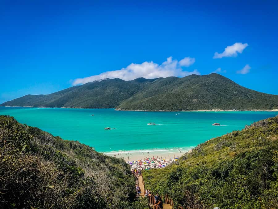 From Rio: Arraial do Cabo Day Trip with Boat Tour - The Four-Hour Road to the Costa do Sol
