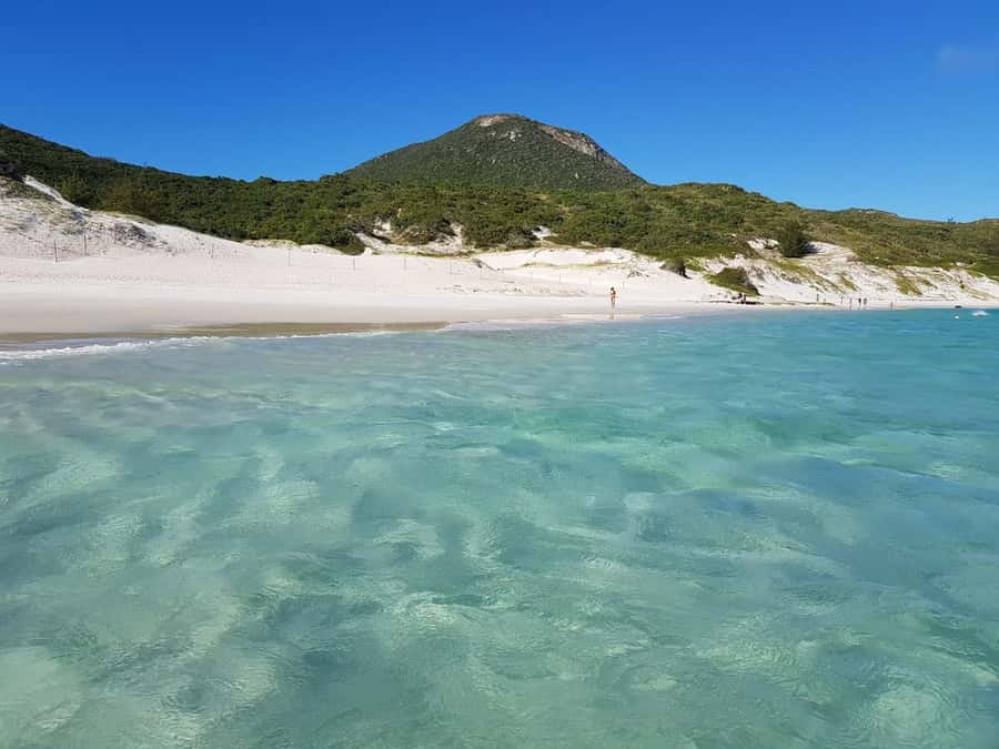 From Rio de Janeiro: Arraial do Cabo Island Day Trip - The Early Pickup and Long Road to the Coast