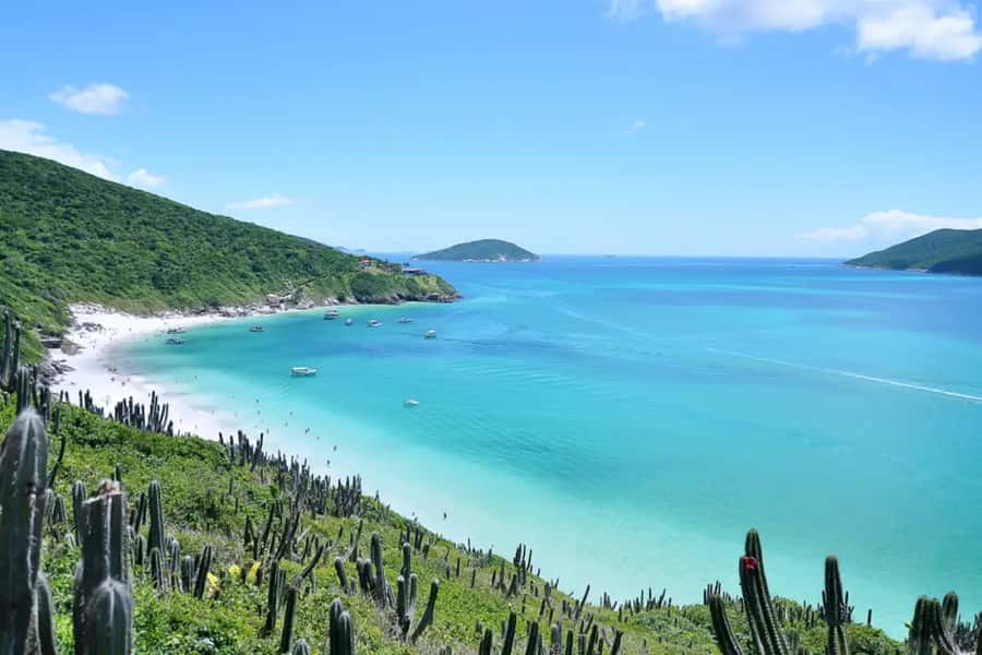 From Rio de Janeiro: Arraial do Cabo Island Day Trip - Praia do Forno: A First Taste of the Coast