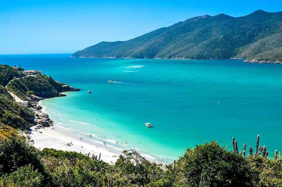 From Rio de Janeiro: Arraial do Cabo Island Day Trip - Who Will Get the Most From This $67 Trip