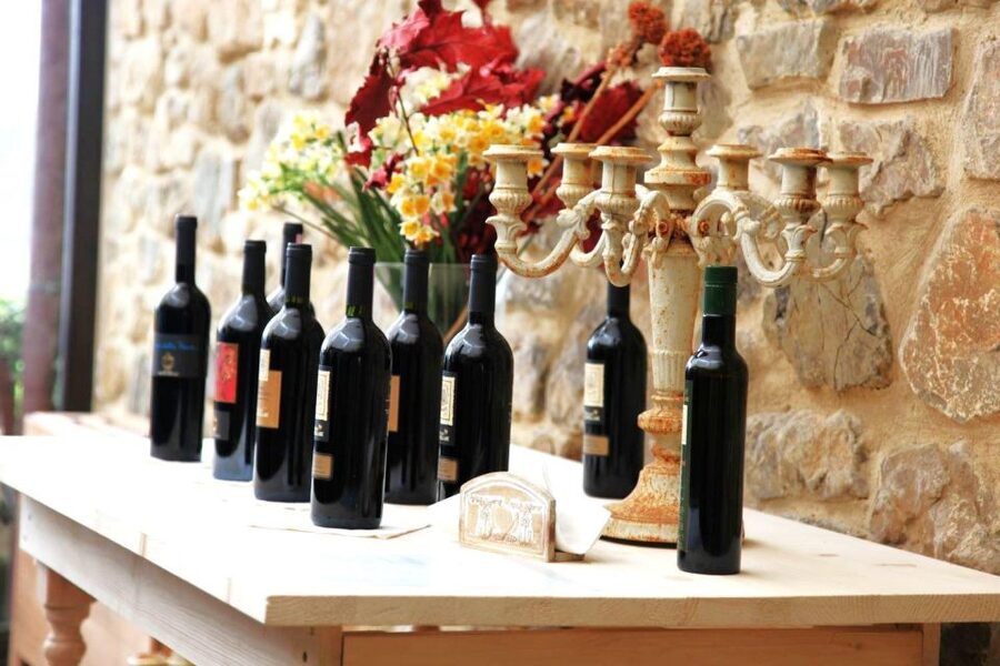From Rome: Bagnoregio & Orvieto Day Trip with Wines & Lunch - What the coach ride is really like