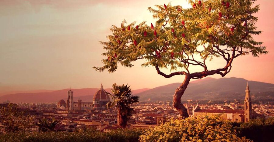From Rome: Day Trip to Florence by High-Speed Train - A 100-minute ride from Rome to Florence