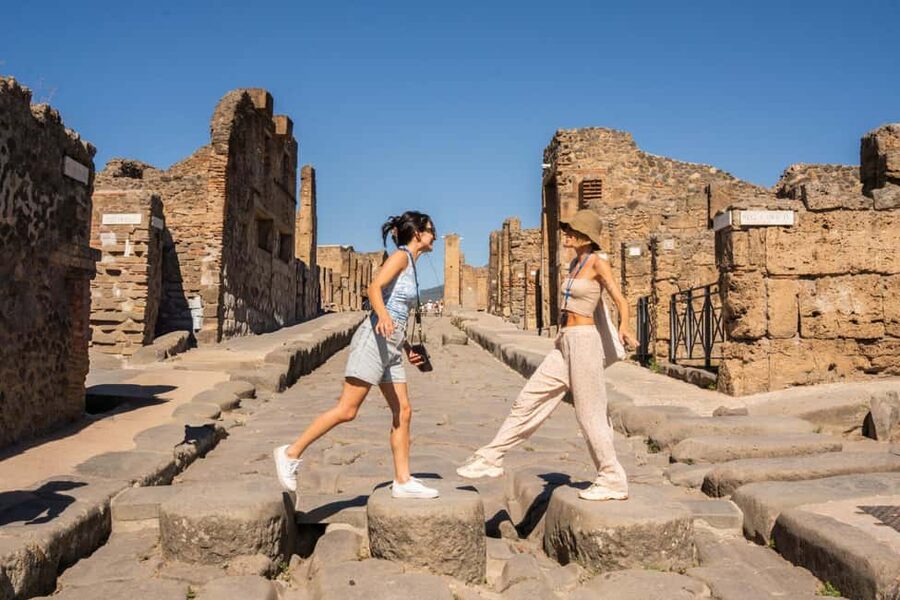 From Rome: Luxury Van Day Trip to Pompeii & Sorrento Lunch - A comfortable minivan ride south from Rome