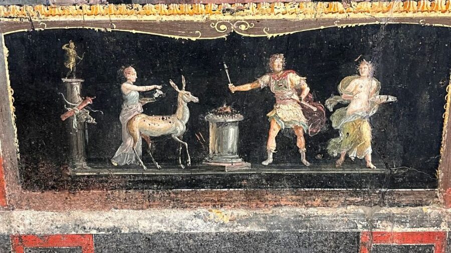 From Rome: Pompeii and Naples Day Trip by High-Speed Train - How much walking and effort should you expect?