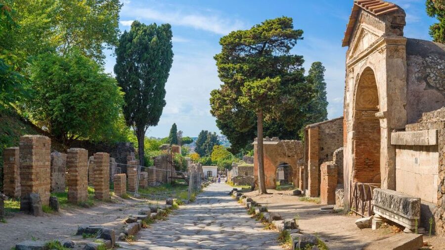 From Rome: Pompeii and Naples Day Trip by High-Speed Train - Guide quality makes the difference