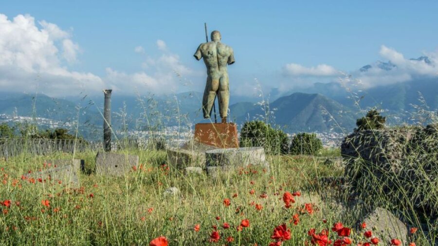 From Rome: Pompeii and Naples Day Trip by High-Speed Train - Is the $259 price fair?