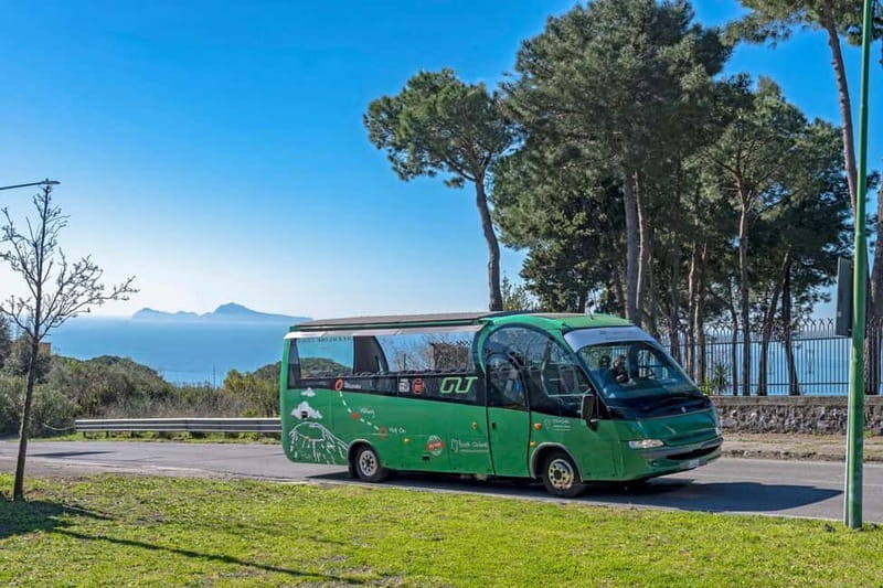 From Rome: Pompeii and Vesuvio Guided Day Trip with Lunch - What you get for $169.93