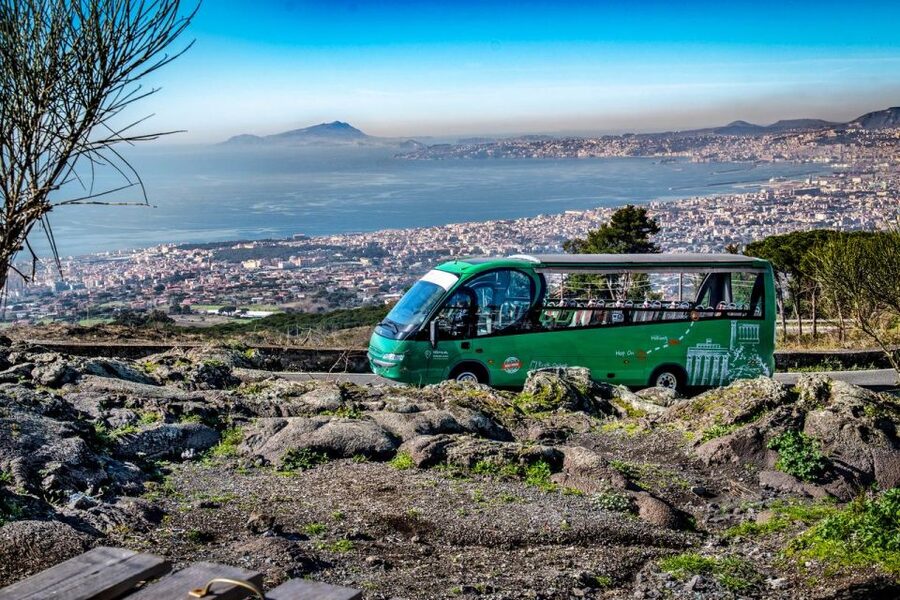 From Rome: Pompeii and Vesuvio Guided Day Trip with Lunch - Pompeii: a focused introduction to a huge site