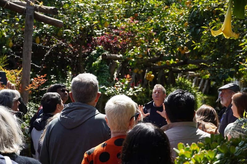 From Rome: Sorrento & Pompeii Day Trip with Guide or Ticket - Meeting at Villa Borghese at 7:30 AM