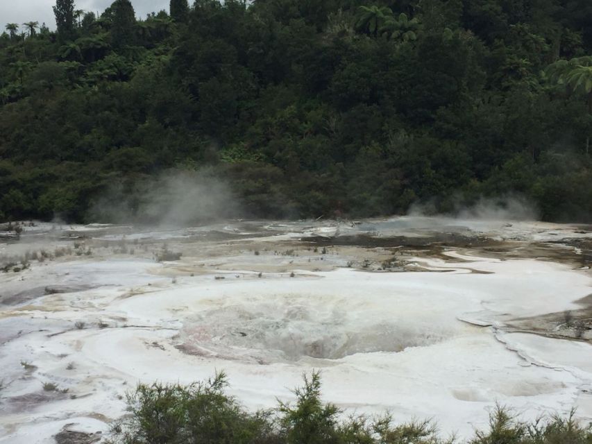 From Rotorua: Taupo Day Trip with Orakei Korako or Waiotapu - Waiotapu and the Lady Knox Geyser option