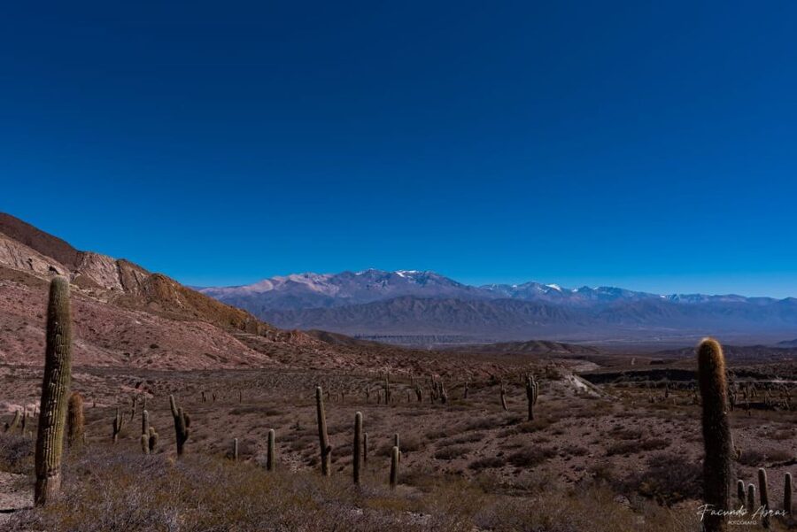 From Salta: 4-Day Trip in Salta Province & Salinas Grandes - Humahuaca and the final mountain views
