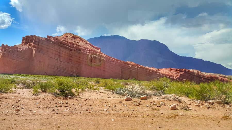 From Salta: Cafayate Day Trip with Wine Tasting - A short wine visit in Cafayate
