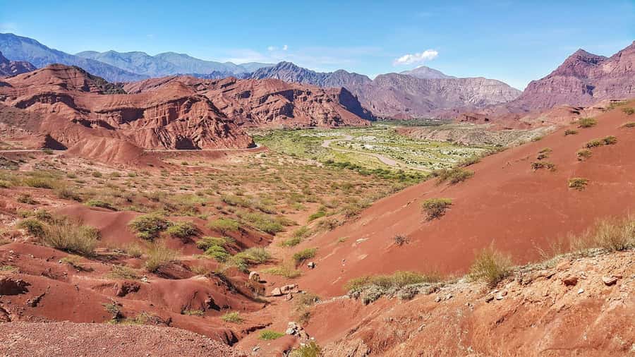 From Salta: Cafayate Day Trip with Wine Tasting - Guides, language, and the human side of the day