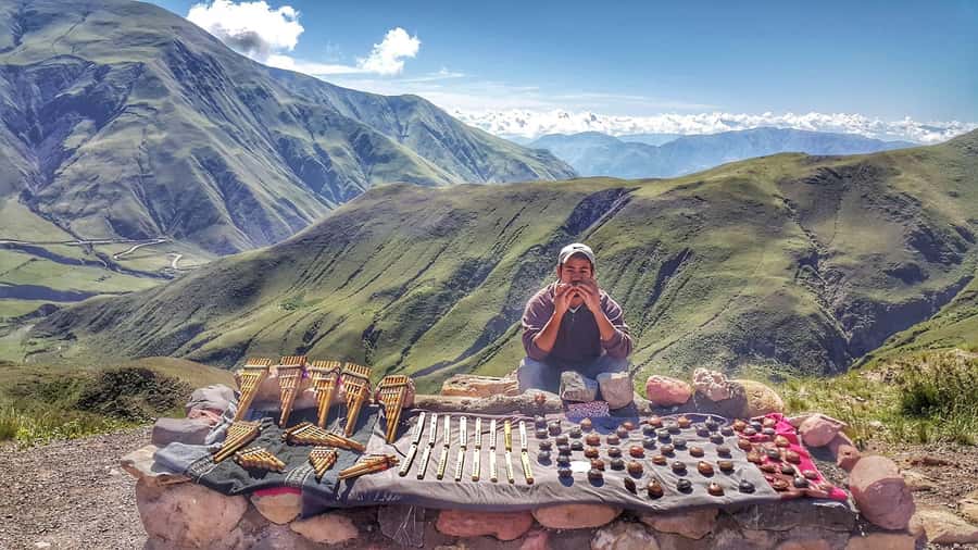 From Salta: Day Trip to Cachi and the Calchaquí Valleys - Key points before you book