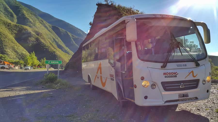 From Salta: Day Trip to Cachi and the Calchaquí Valleys - Walking through Los Cardones National Park