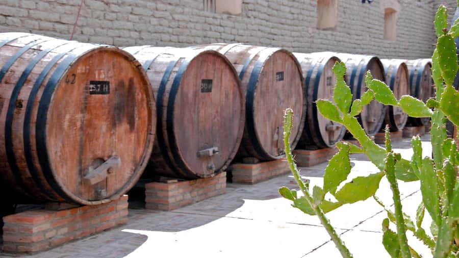 From Salta: Day Trip to Cafayate - Is this Salta to Cafayate tour worth booking?