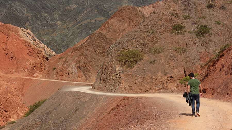 From Salta: Full-Day Trip to Salinas Grandes and Purmamarca - Climbing the Cuesta de Lipan