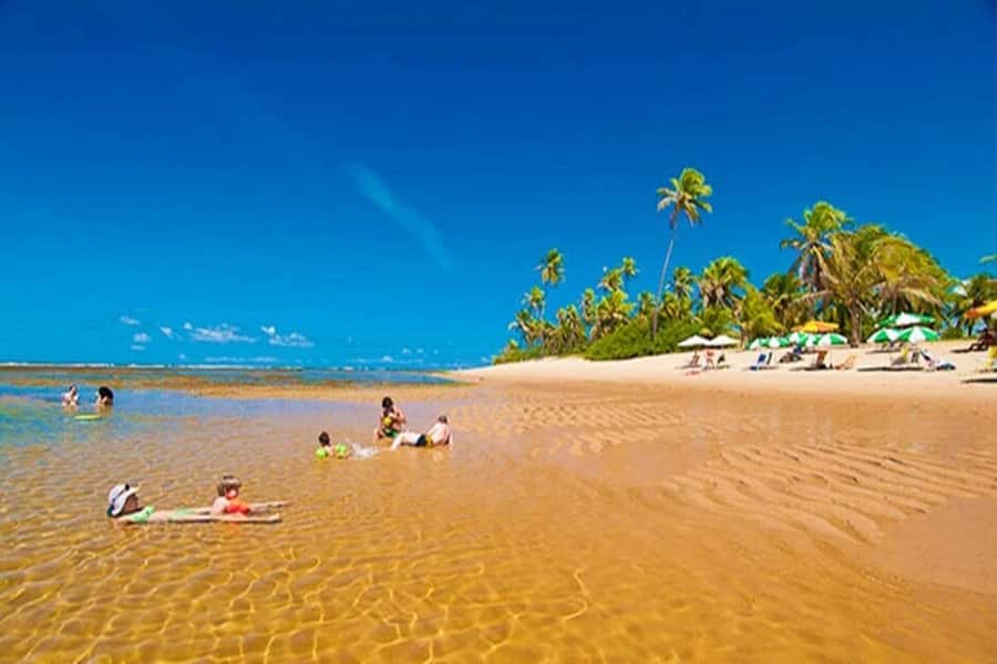 From Salvador: Praia do Forte & Guarajuba Beach Daytrip - What this day trip is really offering
