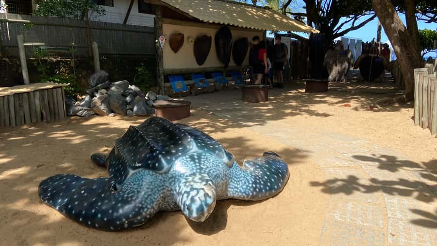 From Salvador: Praia do Forte & Guarajuba Beach Daytrip - Is $160 a fair price?