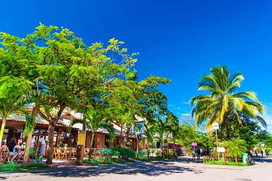 From Salvador: Praia do Forte & Guarajuba Beach Daytrip - What to bring and how to pace the day