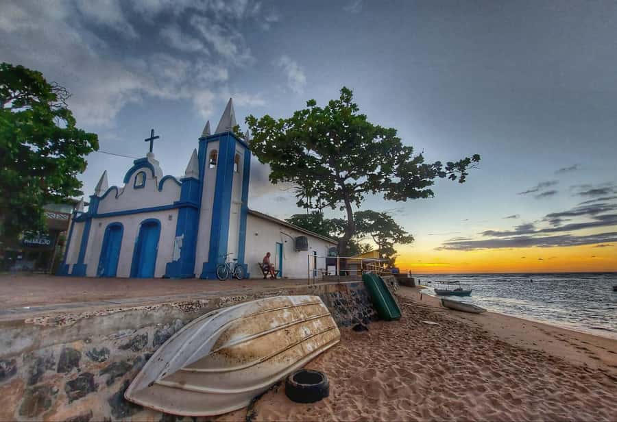 From Salvador: Praia do Forte & Guarajuba Beach Daytrip - Who will enjoy this coastal outing?