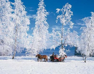 From Salzburg: Ramsau Day Trip with 1-hour Carriage Ride - Leaving Salzburg for the high plateau