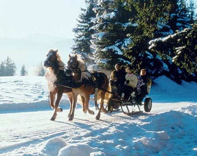 From Salzburg: Ramsau Day Trip with 1-hour Carriage Ride - The horse-drawn ride: sleigh, carriage, and blankets