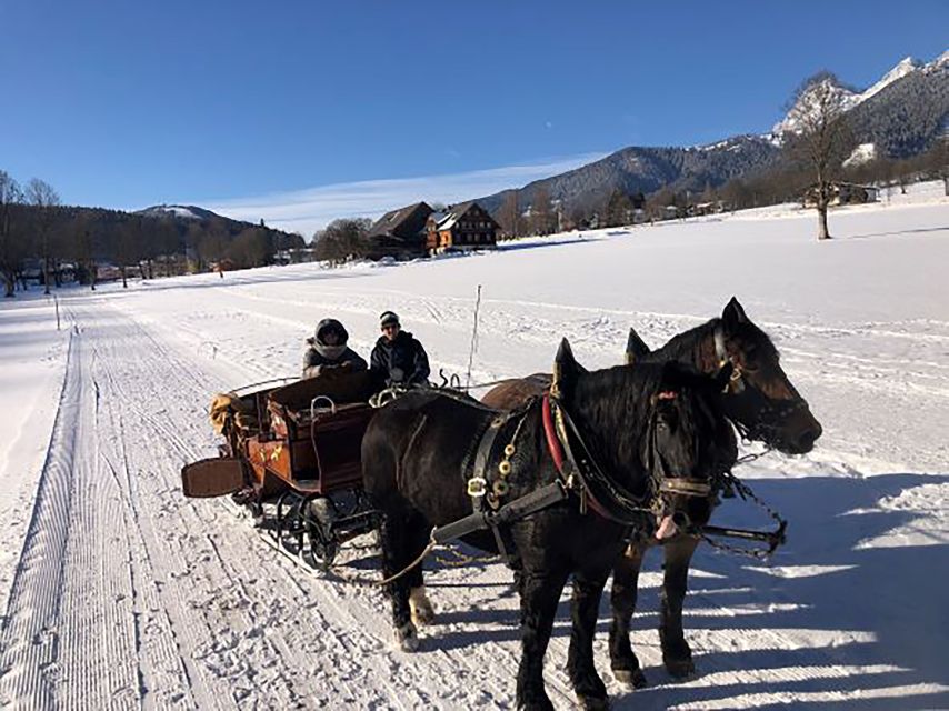 From Salzburg: Ramsau Day Trip with 1-hour Carriage Ride - What the guides add