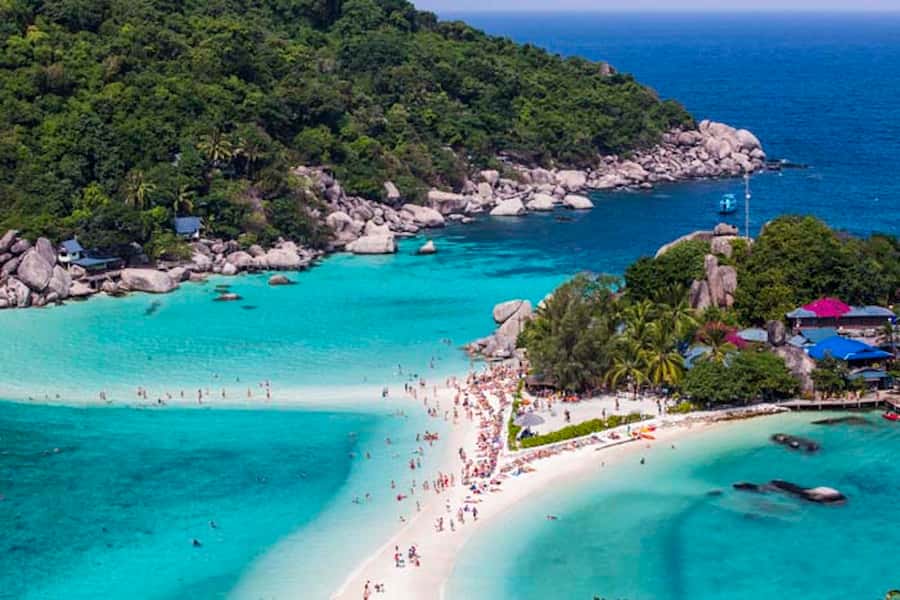 From Samui: Ko Tao and Koh Nang Yuan Speedboat Day Trip - The five details that matter most