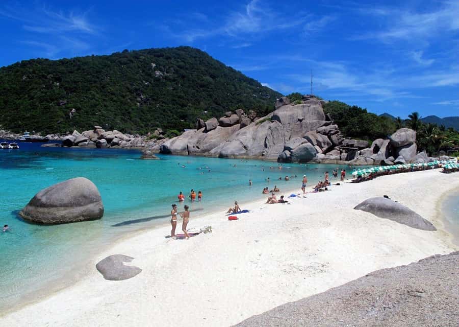 From Samui: Ko Tao and Koh Nang Yuan Speedboat Day Trip - Who should book this day trip