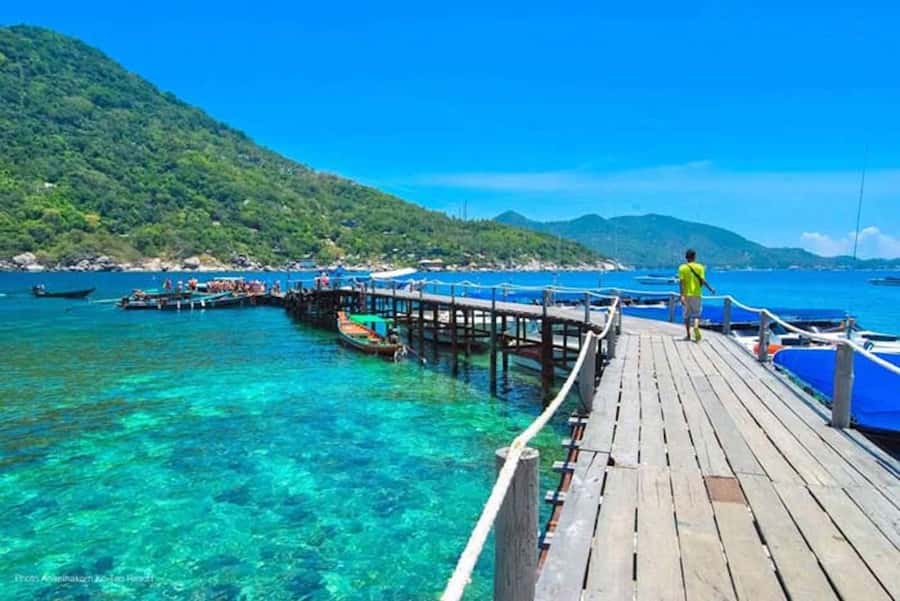 From Samui: Ko Tao and Koh Nang Yuan Speedboat Day Trip - What your $67 buys from Koh Samui