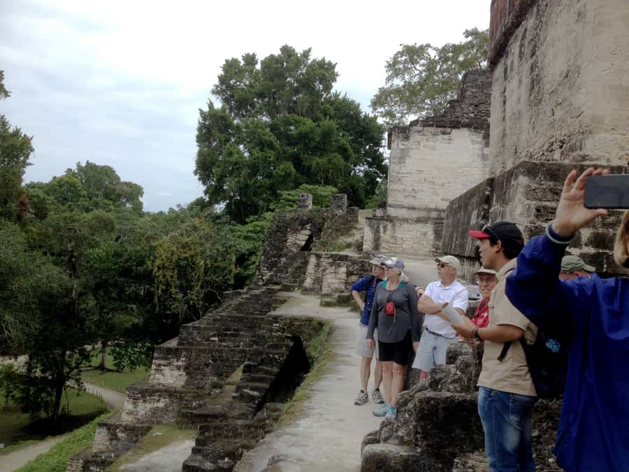 From San Ignacio: Tikal Maya Site Day-Trip with Local Lunch - Monkeys, toucans, and forest sounds