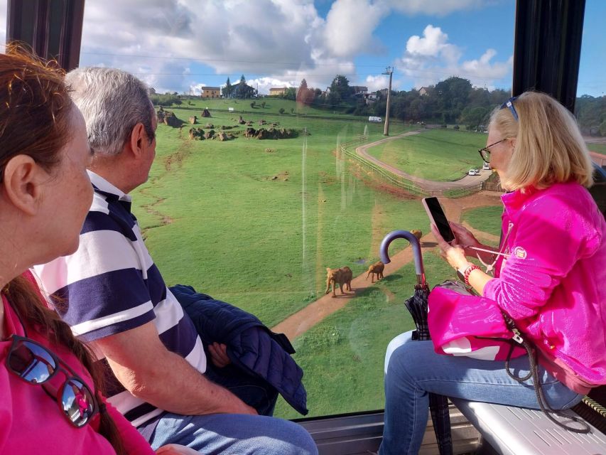 From Santander: Cabarceno Natural Park Half-Day Trip - Santander pickup and the 30-minute drive